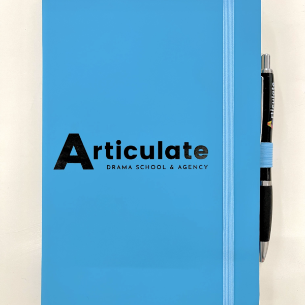 Articulate Notebook & Pen